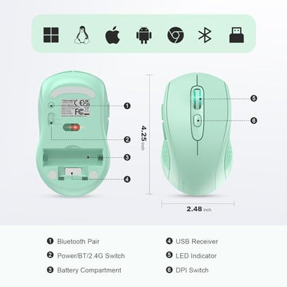 TECKNET 2-in-1 Bluetooth Mouse (BT 5.0/3.0+2.4Ghz), 6-Level 4000 DPI-Green | BT 5.0/3.0 & 2.4G wireless mouse with 4000 DPI, silent clicks, ergonomic design, and USB receiver for laptop and PC. - color: Green