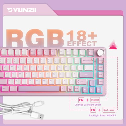 YUNZII B75 PRO Wireless Mechanical Gaming Keyboard | Custom 75% Layout with Knob,Gasket Mount,Hot Swap,Creamy Pre-lubed Switch,BT/USB-C/2.4G(Cocoa Cream V2 Switch,Purple) - color: Purple, size: Cocoa Cream V2 Switch