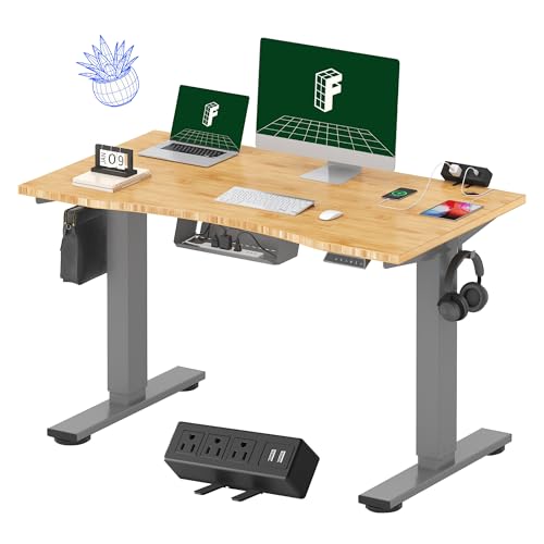 FLEXISPOT EN2 48"x24" Bamboo Electric Standing Desk with Power Strip | Solid Bamboo Desktop, Cable Management, Convenient Clamp Power Strip, And Clean Home Office Setup, Grey Frame - color: Bamboo Top + Grey Frame, size: 48x24"