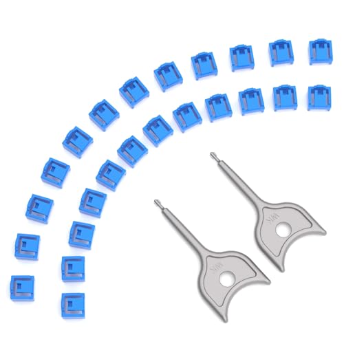 24-Pack RJ45 Port Lock with 2 Keys,Security Network Port Lock & Dust Cover,Female RJ45 Connector Blocker Cap Protector for Computers,Servers, Routers & More (Blue) - color: Blue, size: 24+2