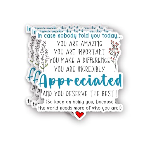 (3pcs) You are Amazing Important Incredibly Appreciated and You Deserve The Best Sticker Funny Sayings Motivational Inspirational Vinyl Decal for Tumbler Laptop Water Bottles Books Phone -Size 3x3