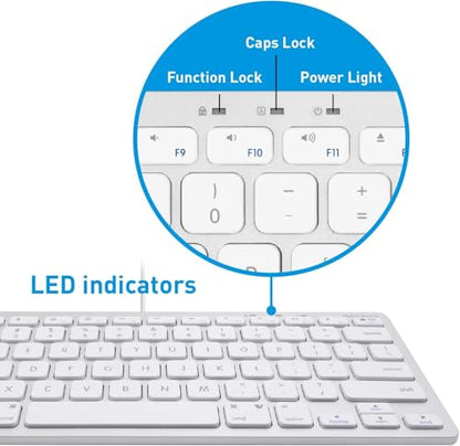 Macally Small Wired Keyboard for Mac and Windows - 78 Scissor Switch Keys Compatible Apple Keyboard - USB Mini Keyboard that Saves Space and Looks Great - Plug and Play Wired Mac Keyboard - Aluminum - color: Silver Aluminum