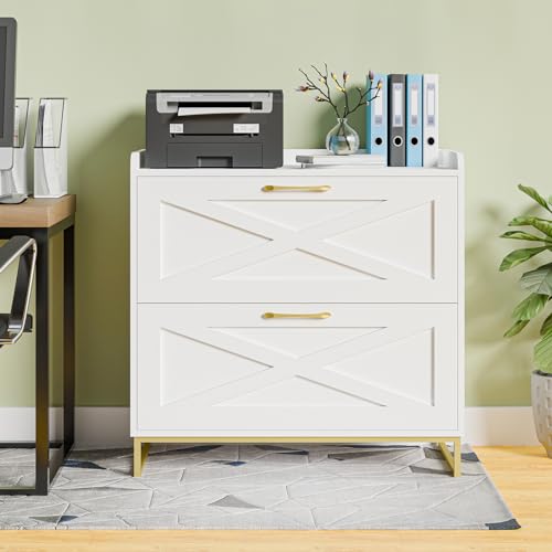 2 Drawer Lateral File Cabinet, Filing Cabinet with Charging Station for Letter/Legal/A4 Size Hanging Files, Modern Farmhouse File Storage Cabinet for Home Office, Printer Stand with Storage, White - color: White