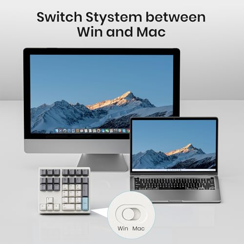 Kisnt Wireless Mechanical Numpad, Full-Function for Heavy Excel Financial | 34 Keys Hot Swappable, 2.4GHz Rechargeable, Laptop Macbook PC Desktop Compatible (Red Switches)