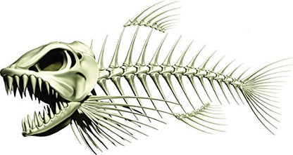 Skeleton Beautiful Fish Decal | Fishing Decal for Boat, Car, Vehicle, Truck Etc. | Waterproof Vinyl Sticker | Many Sizes & Styles Available | 12" to 40" by Digital Fish Art (Large, Position 1) - color: Position 1, size: Large
