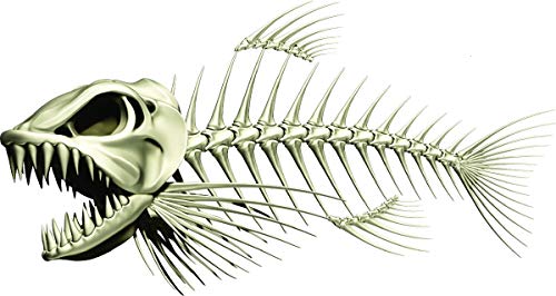 Skeleton Beautiful Fish Decal | Fishing Decal for Boat, Car, Vehicle, Truck Etc. | Waterproof Vinyl Sticker | Many Sizes & Styles Available | 12" to 40" by Digital Fish Art (X-Large, Position 1) - color: Position 1, size: X-Large