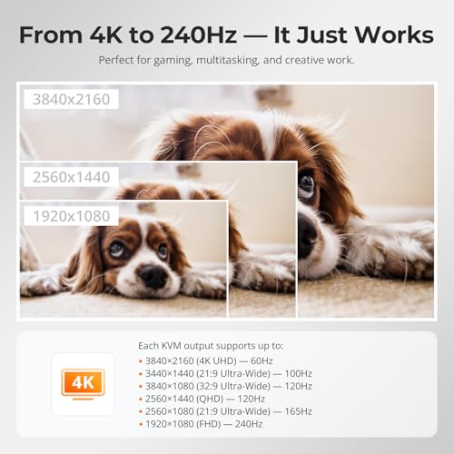 TESmart HDMI KVM Switch 2 Monitors 2 Computers 4K@60Hz, USB 2.0, Dual Monitor KVM Switch HDMI 2 Port Extended Display, EDID emulators, L/R Audio, Hotkey Switch, Button Switch with Input Cables