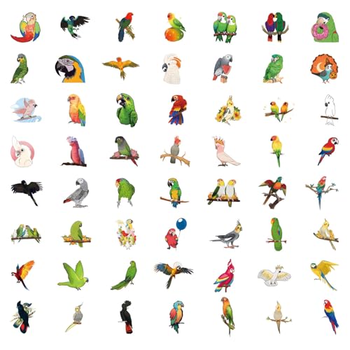 50 Pcs Multicolor Cute Cartoon Parrot Stickers | Colorful parrot cartoon waterproof vinyl decals for laptops, water bottles, uggage, phone cases, and DIY crafts. - style: J-Style05