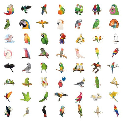 50 Pcs Multicolor Cute Cartoon Parrot Stickers | Colorful parrot cartoon waterproof vinyl decals for laptops, water bottles, uggage, phone cases, and DIY crafts. - style: J-Style05