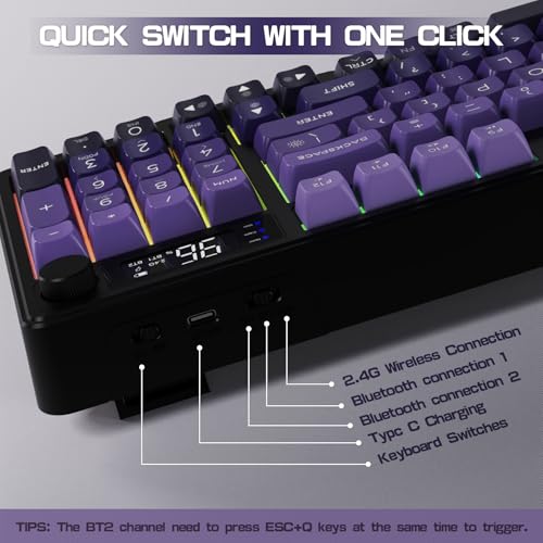 LexonElec M96 Wireless Keyboard, Low Profile Quiet Typing Membrane Gaming Keyboard with Smart Display & Knob, RGB Backlit, USB C Rechargeable, 94 Keys PBT Keycap for Windows PC,Mac,Linux-Grape Purple - color: Grape Purple