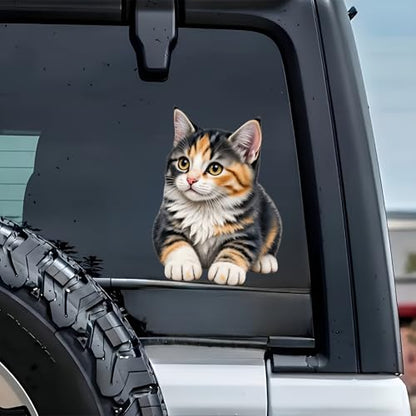 Waterproof Cute Calico Tabby Kitten Car Stickers – 5.5 Inch Vinyl Decals 2 Pack for Cars, Motorcycles, Laptops, Suitcases, Refrigerators, Walls, Doors, Bicycles, Removable Decorative Bumper Stickers