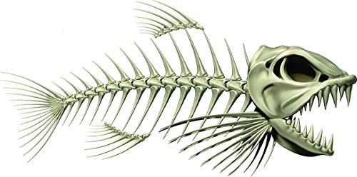 Skeleton Beautiful Fish Decal | Fishing Decal for Boat, Car, Vehicle, Truck Etc. | Waterproof Vinyl Sticker | Many Sizes & Styles Available | 12" to 40" by Digital Fish Art (Large, Position 3R) - color: Position 3r, size: Large