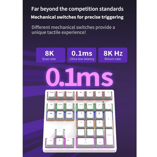 XUMIUZIY Number Pad, Mechanical Numeric Keypad with RGB Backlit, Hotswap Blue Switches, PBT Keycaps, 34 Keys USB Wired Numpad for Laptop, Computer, PC (White) - color: White