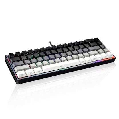 65% Gaming Keyboard, LED Backlit Mini Wired Keyboard, Ultra-Compact Anti-Ghosting No-Conflict 68 Keys Membrane Gaming Wired Keyboard for PC Laptop Windows Gamer(Gray-White) - color: Gray