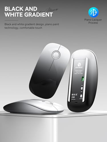 RAPIQUE Bluetooth Wireless Mouse, BT5.1＆ 2.4G Slim Dual Mode, White to Black - color: White to Black