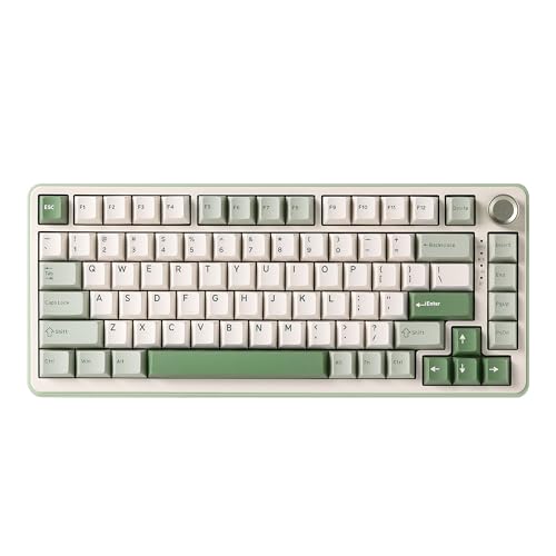 YUNZII B75 PRO Wireless Mechanical Gaming Keyboard | Custom 75% Layout with Knob,Gasket Mount,Hot Swap,Creamy Pre-lubed Switch,BT/USB-C/2.4G(Matcha Green, Cocoa Cream V2 Switch) - color: Matcha Green, size: Cocoa Cream V2 Switch