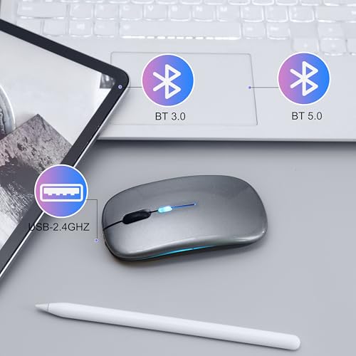 Wireless Bluetooth Mouse Rechargeable Long Lasting Dual Mode - BT 5.2 & 2.4G Silent RGB LED Mice, Slim Portable Ergonomic Mouse for Laptop/PC/Tablet/MacBook/iPad/Apple Devices(Grey) - color: Grey