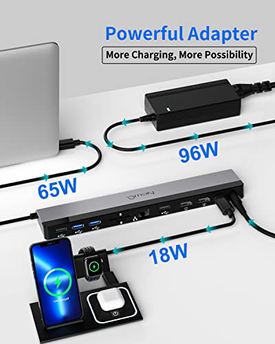 USB C Docking Station Dual Monitor with Power Adapter: NewQ 12-in-1 Thunderbolt 3 | 4 Dock, Dual 4K HDMI, 4 USB, Audio, Ethernet, SD/TF Slot, 18W PD Out, for Mac, HP, Dell, Lenovo, Surface, Asus, Acer - size: NQ-DK-02-Standard
