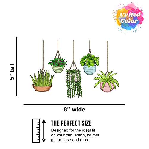 Plant Stickers (5pcs) - Strong Adhesive Waterproof Succulent Stickers - Do not Fade, Used for Notebook, Laptop, MacBook, Scrapbook, Ipad, Water Bottle