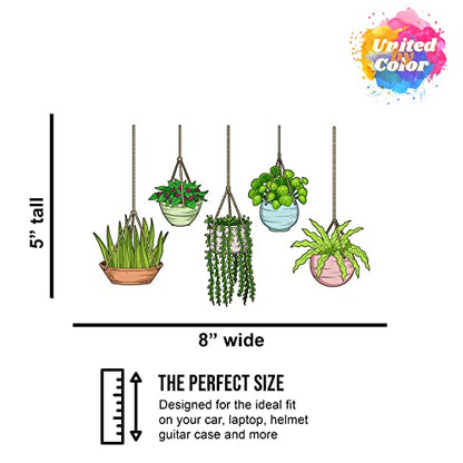 Plant Stickers (5pcs) - Strong Adhesive Waterproof Succulent Stickers - Do not Fade, Used for Notebook, Laptop, MacBook, Scrapbook, Ipad, Water Bottle