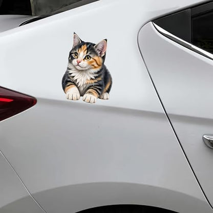 Waterproof Cute Calico Tabby Kitten Car Stickers – 5.5 Inch Vinyl Decals 2 Pack for Cars, Motorcycles, Laptops, Suitcases, Refrigerators, Walls, Doors, Bicycles, Removable Decorative Bumper Stickers