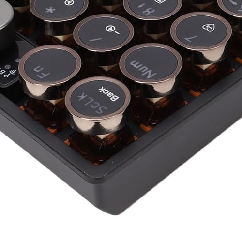 Asixxsix Wireless Gasket RGB Number Pad, 19 Keys Mechanical Numpad, Knob Control, 2.4GHz Bluetooth Portable Financial Accounting Rechargeable Numeric Pad for Laptop, PC