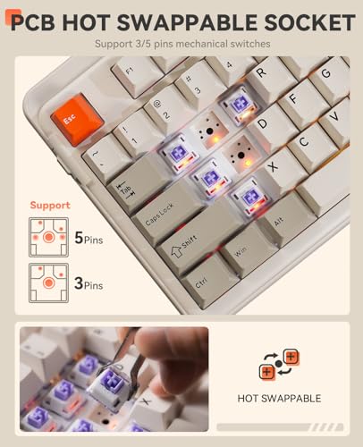 DAREU EK98pro Wireless Mechanical Keyboard,Tri-Mode BT/2.4GHz/USB-C Creamy Gaming Keyboard with Number Pad,Pre-lubed Linear Switches,Gasket Structure,Hot Swappable Custom,RGB Backlit for Win/Mac - color: Retro Beige