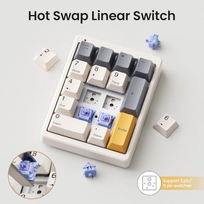 Kisnt MF17 Wired QMK/VIA Mechanical Numpad for Excel Financial Data Entry | QMK/VIA Programmable, Wired 17 Keys Hot Swappable, Custom RGB with PBT Keycaps for Laptops PC Compact Keyboards (Retro Beige) - color: Retro Beige