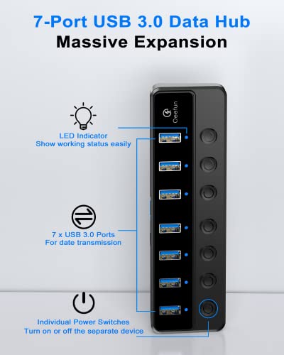 Qeefun Powered USB Hub, 7-Port USB 3.0 Data Extender with Individual LED On/Off Switches and 12V/2A Power Support Port, USB Splitter Expander for Laptop, Desktop PC, iMac and More - style: A to 7A