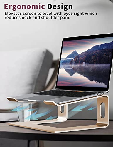 ALASHI Laptop Stand for Desk, Aluminum Computer Riser, Ergonomic Notebook Holder, Detachable Metal Laptops Elevator, PC Cooling Mount Support 10 to 15.6 Inches Notebook, Gold - color: D-Gold