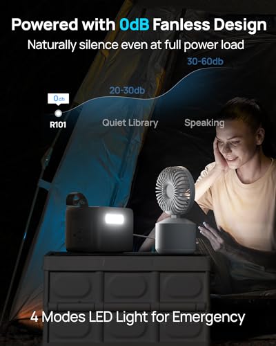 Portable Power Station 89.6Wh LiFePO4 Battery, Solar Power Bank with AC Outlet 100W/110V, USB-C PD Two-Way Fast Charging Small Generator for Laptop, Camping, Home, Office (65W Wall Charger Included) - color: Light Black
