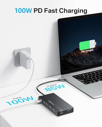 USB C Docking Station Dual Monitor, 14 in 1 USB C Hub, Adapter with 2 HDMI+DP(4K60Hz), Ethernet, 3 USBC 10G,100W PD, SD/TF, Audio, Laptop Docking Station for Dell/HP/Lenovo/ThinkPad/Surface (Black) - color: Black