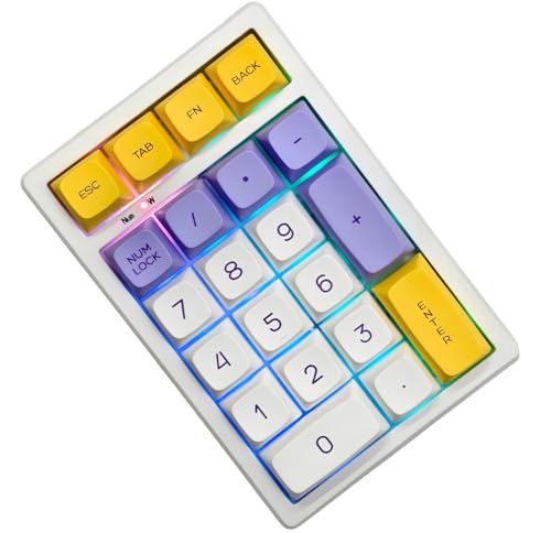 BOYI TD21 Hot Swap Numpad,21 Keys Mini Numpad Portable Keypad Bluetooth5.0/2.4G/Wired Number Pad Keyboard PBT Keycaps RGB Backlit Type-C Mini Keyboard (Ice Cream XDA Keycaps) - color: Ice Cream XDA Keycaps