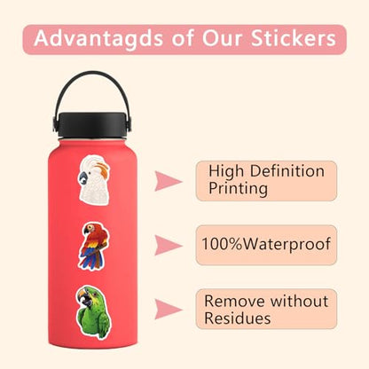 50 Pcs Multicolor Cute Cartoon Parrot Stickers | Colorful parrot cartoon waterproof vinyl decals for laptops, water bottles, uggage, phone cases, and DIY crafts. - style: J-Style05