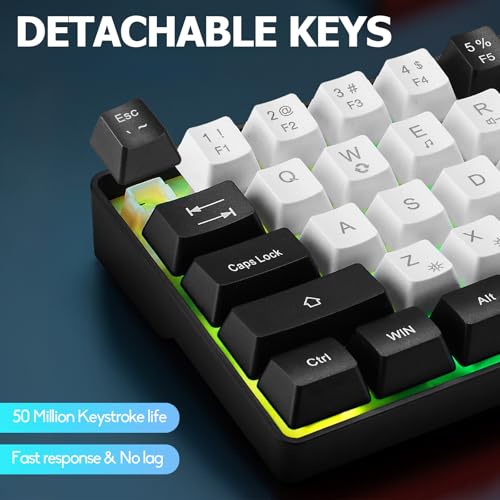 Guiheng Wired Portable 60% Mechanical Gaming Keyboard,RGB LED Backlit Compact 68 Keys Mini Wired Office Keyboard with Red Switch for Windows Laptop PC Mac - White - color: White and black