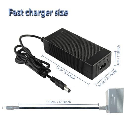 Charger 42vdc Replacement ACDC Charger for 10S 36Voltage Lithium Battery | DC42V Compatible with S2Pro S2Lite S2 KS4 KS4Pro NEX NEX3 NEX5 Max Max3 Max V2