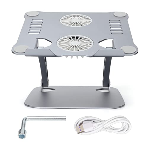 Diyeeni Laptop Stand with 2 Cooling Fans, Aluminum Computer Riser Ergonomic Foldable Height Laptop Elevator for Desk, Compatible with 10-17.3in Laptops, Sturdy Portable (Space Gray) - color: Space Gray