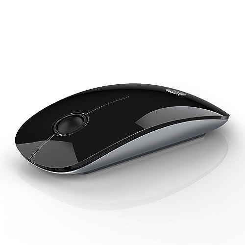 RAPIQUE Bluetooth Wireless Mouse, BT5.1/2.4G Dual Mode, Black | Slim Profile, Two Ways to Connect, Quiet Click, Low Power, 1600 DPI, Portable for MacBook, Laptop, iPad and Surface Pro - color: Black