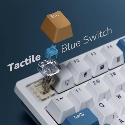 RK ROYAL KLUDGE RK98 Wireless Mechanical Keyboard, Triple Mode 2.4G/BT5.1/USB-C Hot Swappable Keyboard with Number Pad, Pre-lubed Clicky Switches RGB Backlit Gaming Keyboard, Software Support - color: White, size: Hot Swap Blue Switch