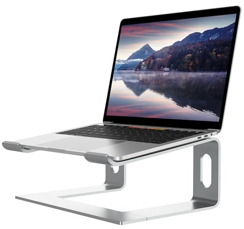 ALASHI Laptop Stand for Desk, Aluminum Computer Riser, Ergonomic Notebook Holder, Detachable Metal Laptops Elevator, PC Cooling Mount Support 10 to 15.6 Inches Notebook, Silver - color: B-Silver