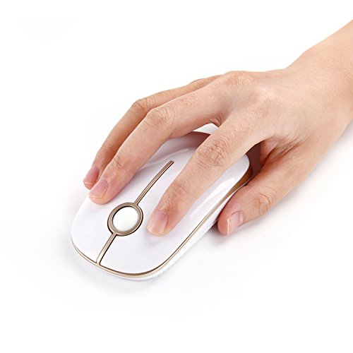 VssoPlor Wireless Mouse, 2.4G Slim Portable Computer Laptop Mouse with Nano Receiver Quiet Silent Optical Mice for Notebook, PC, Laptop, Computer-White and Gold - color: White and Gold