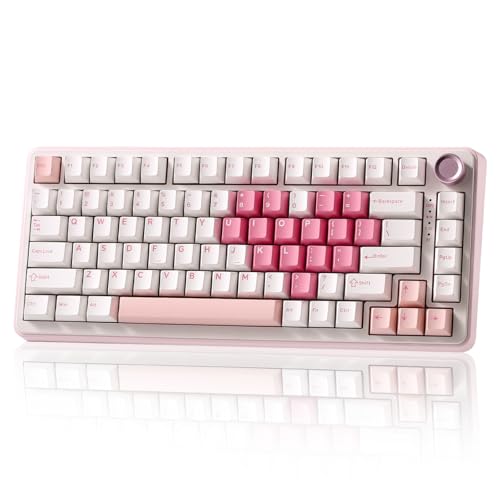 YUNZII B75 PRO Wireless Mechanical Gaming Keyboard | Custom 75% Layout with Knob,Gasket Mount,Hot Swap,Creamy Pre-lubed Switch,BT/USB-C/2.4G (White, Cocoa Cream V2 Switch) - color: White, size: Cocoa Cream V2 Switch