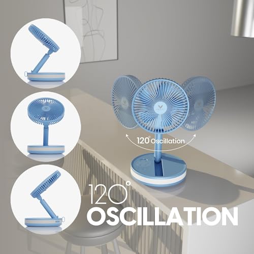 VENTY Portable Fan - Wireless Battery Operated Fan - 4 Speeds - LED Lighting - Carry Case & Remote Control - Cruise Travel - Outdoor Travel RV Power Bank With USB-C Port (Blue with Case) - color: Blue