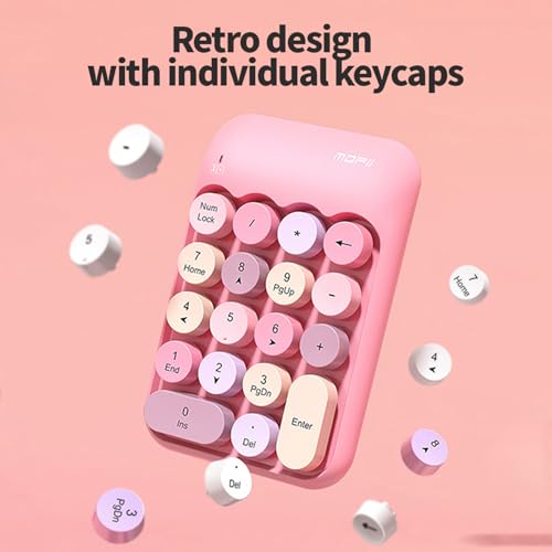 Sahara - Wireless Numeric Keypad, Retro Round Keycaps, Portable Number Pad with Ergonomic Design, USB Receiver, Compatible with Laptop/Desktop PC (Pink) - color: Pink