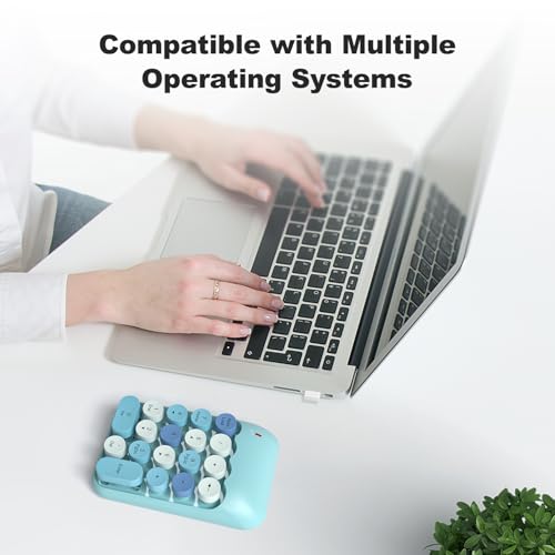 MOWUX Wireless Number Pads, Cute Colorful Numeric Keypad Numpad Portable 2.4 GHz Financial Accounting Number Keyboard Extensions, 18 Key Number Numpad for Laptop Desktop, PC (Blue) - color: Blue