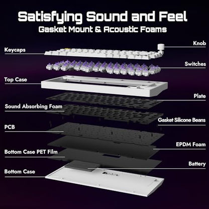 LEMOKEY P1 HE 75% Wireless Custom Mechanical Gaming Keyboard with Gateron Double-Rail Magnetic Switches Knob Version, QMK 2.4 GHz Bluetooth 5.2 RGB Backlight Compatible with Mac Windows Linux - White - color: Shine-Through-White
