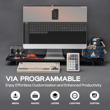 EPOMAKER EK21 VIA Gasket Number Pad w/ 1000mAh Battery, BT 5.0/2.4GHz/Wired | Hot-Swap Numpad with Aluminum Alloy knob, Programmable for Win/Mac/Gaming (Retro White, Zebra Switch) - color: Retro White, size: Zebra Switch