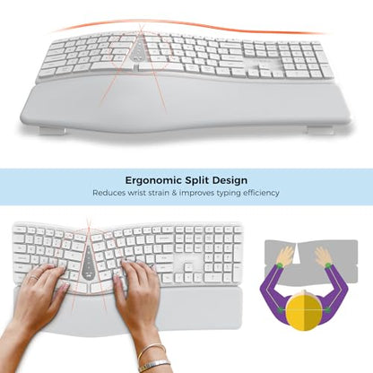 Ergonomic Keyboard Mouse Wireless Combo, Full Size Bluetooth Split Keyboard with Wrist Rest, 4 Level DPI Ergo Mouse for Windows Mac OS Computer, White - color: White