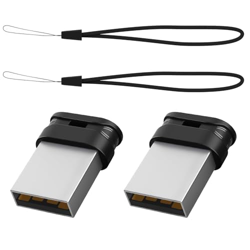 RAOYI 2 Pack 16GB USB 2.0 Flash Drive, Mini Fit USB Stick Ultra Slim Thumb Drive Jump Drive Zip Drive Pen Drive with Lanyard-Black - color: black 2 pack, size: 16GB-2.0