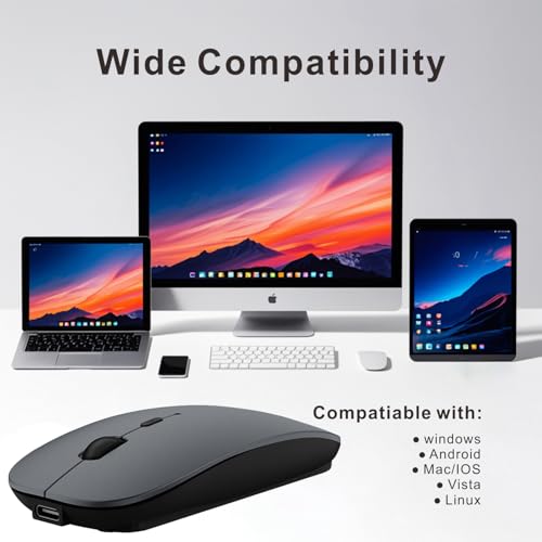 HOTDREAM Bluetooth Wireless Rechargeable Mouse for MacBook Pro/Air/iPad Air/iPad Pro/Laptop/Tablet/iPhone/PC, Bluetooth 5.2/3.0 and 2.4GHz Dual Mode Mouse (Gray) - color: Gray